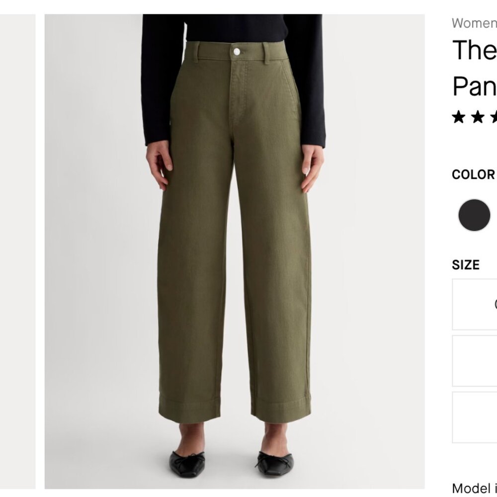 Everlane The Utility Wide-Leg Pant